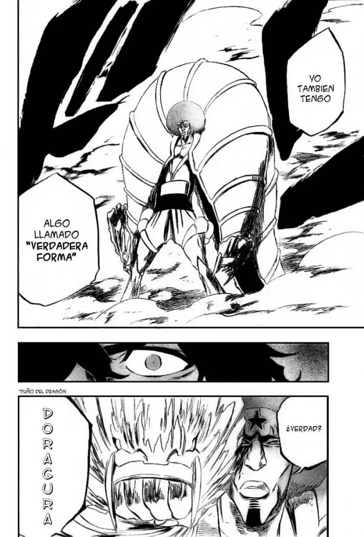 Bleach (2001) - Capítulo 260 - Página 13 - LectorTMOo