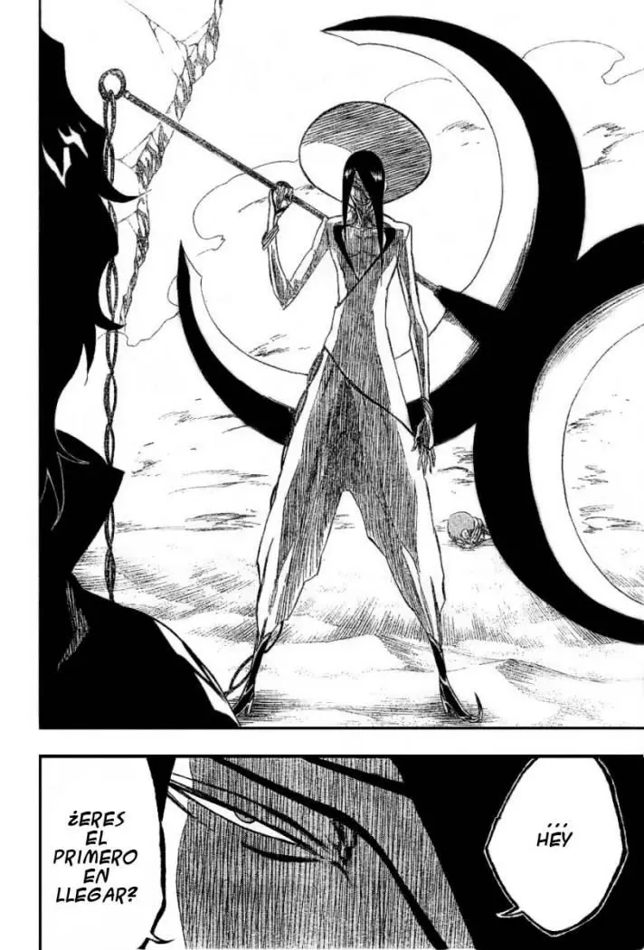 Bleach (2001) - Capítulo 261 - Página 17 - LectorTMOo