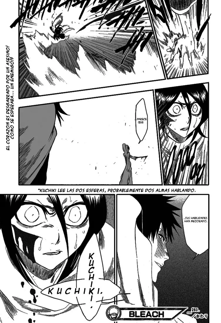 Bleach (2001) - Capítulo 263 - Página 19 - LectorTMOo