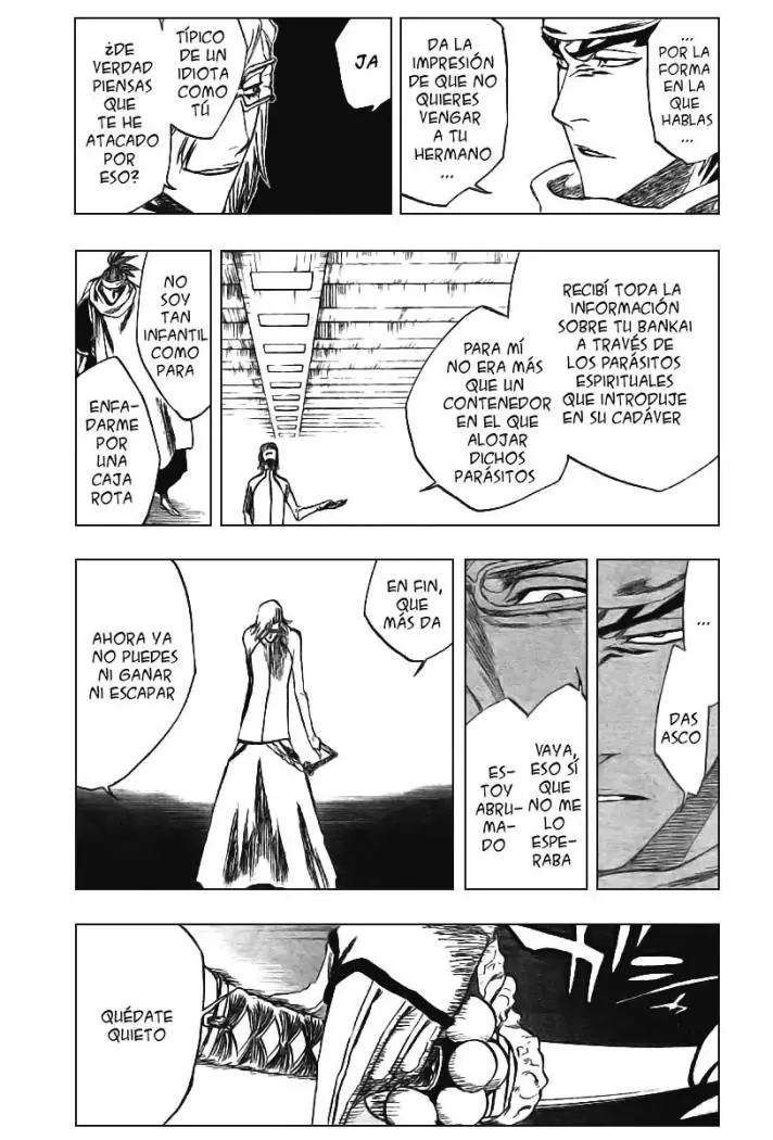 Bleach (2001) - Capítulo 265 - Página 14 - LectorTMOo