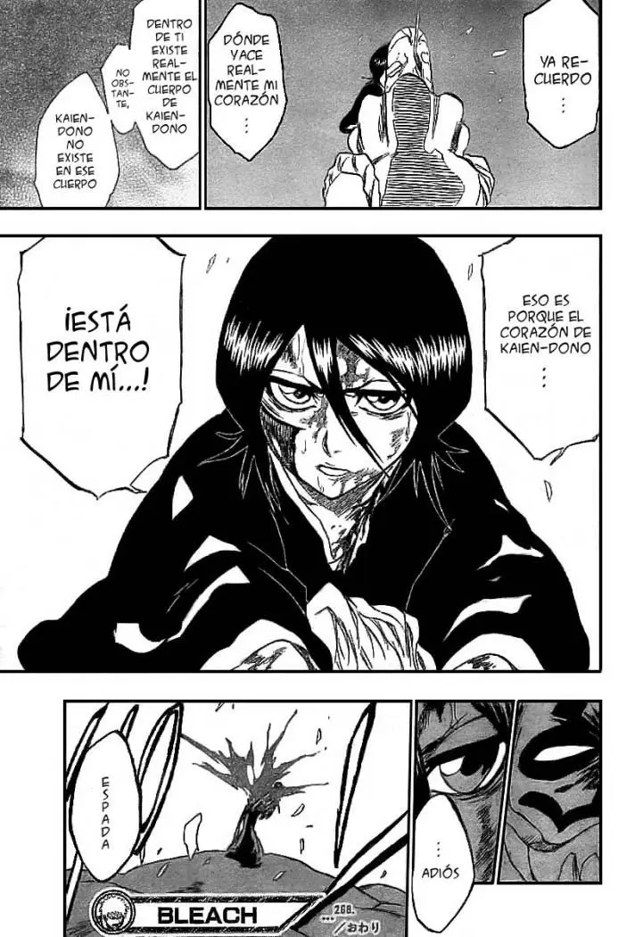 Bleach (2001) - Capítulo 268 - Página 20 - LectorTMOo