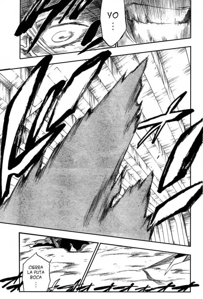 Bleach (2001) - Capítulo 269 - Página 16 - LectorTMOo