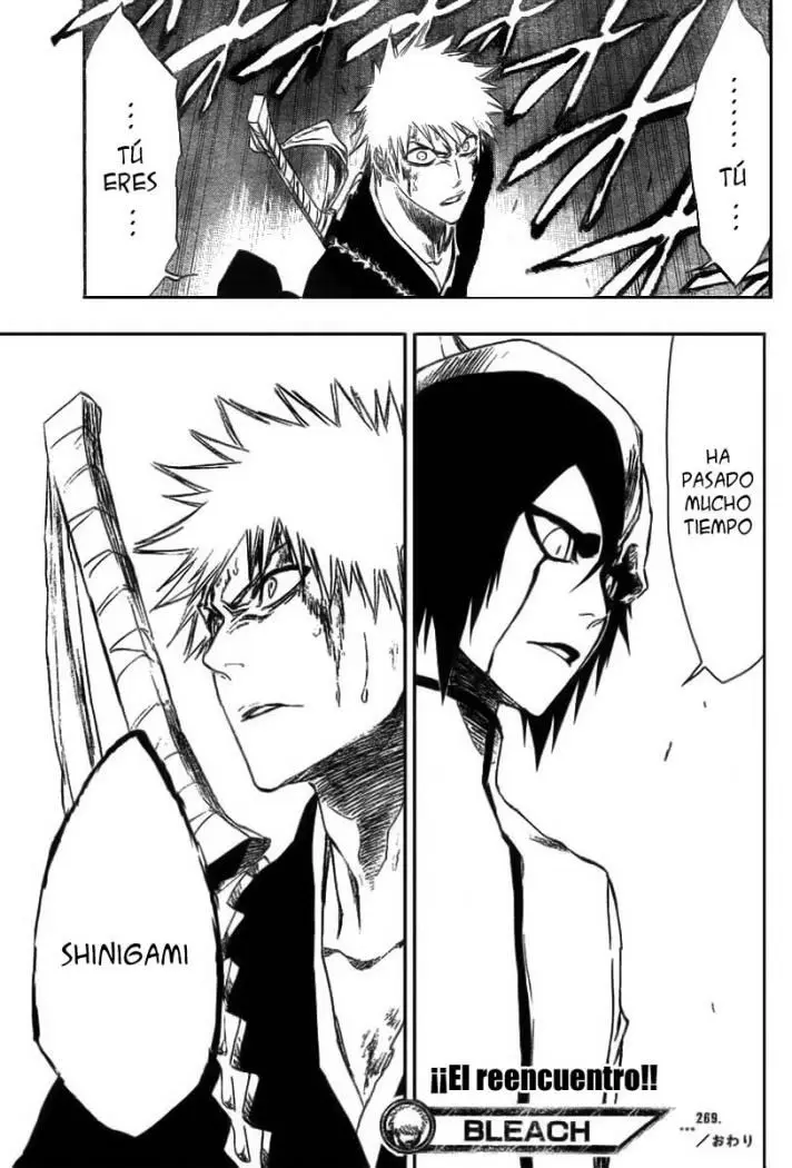 Bleach (2001) - Capítulo 269 - Página 20 - LectorTMOo