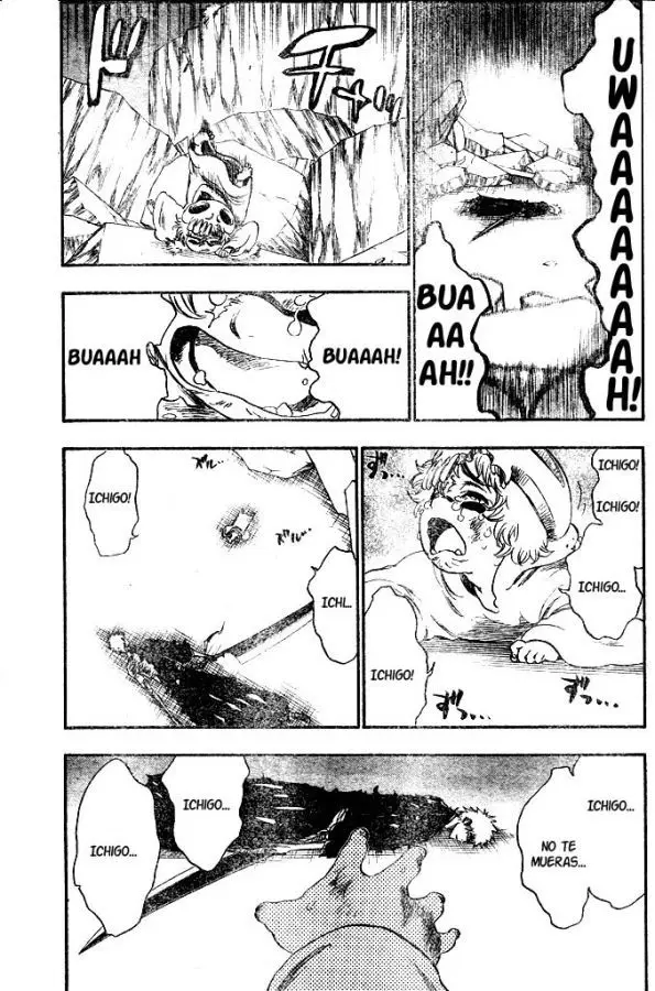 Bleach (2001) - Capítulo 276 - Página 17 - LectorTMOo