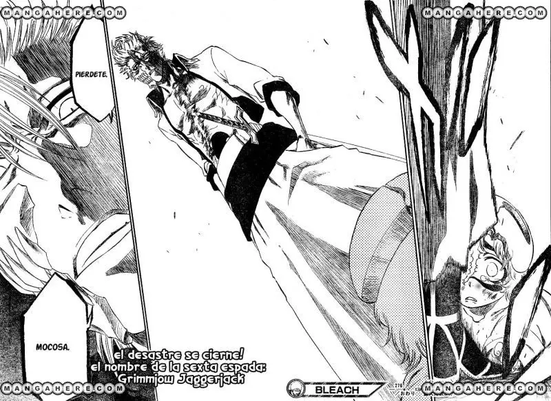 Bleach (2001) - Capítulo 276 - Página 18 - LectorTMOo