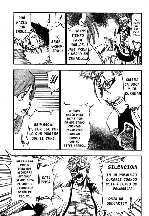 Bleach (2001) - Capítulo 277 - Página 17 - LectorTMOo