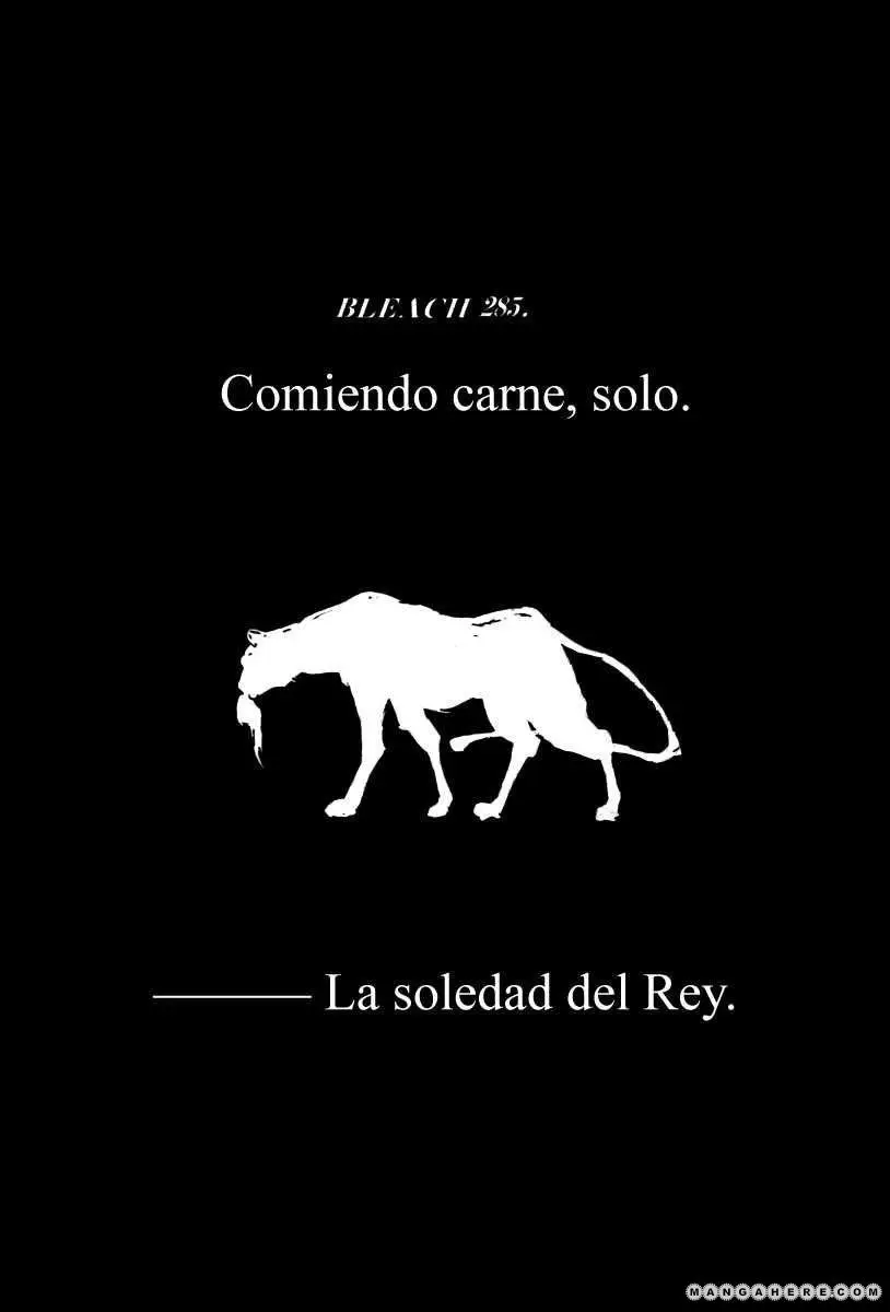 Bleach (2001) - Capítulo 285 - Página 4 - LectorTMOo