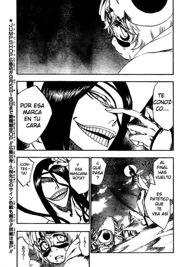 Bleach (2001) - Capítulo 289 - Página 14 - LectorTMOo