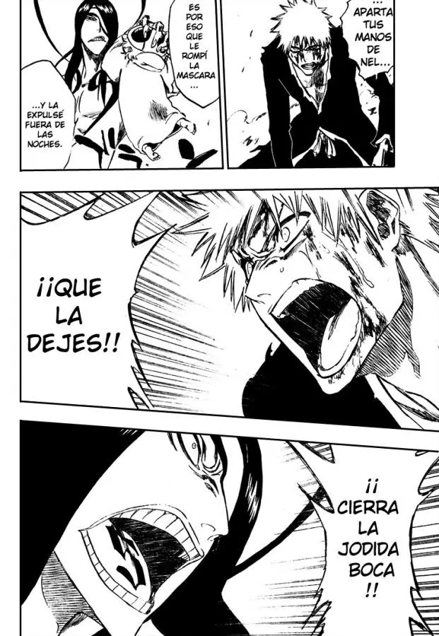 Bleach (2001) - Capítulo 290 - Página 14 - LectorTMOo
