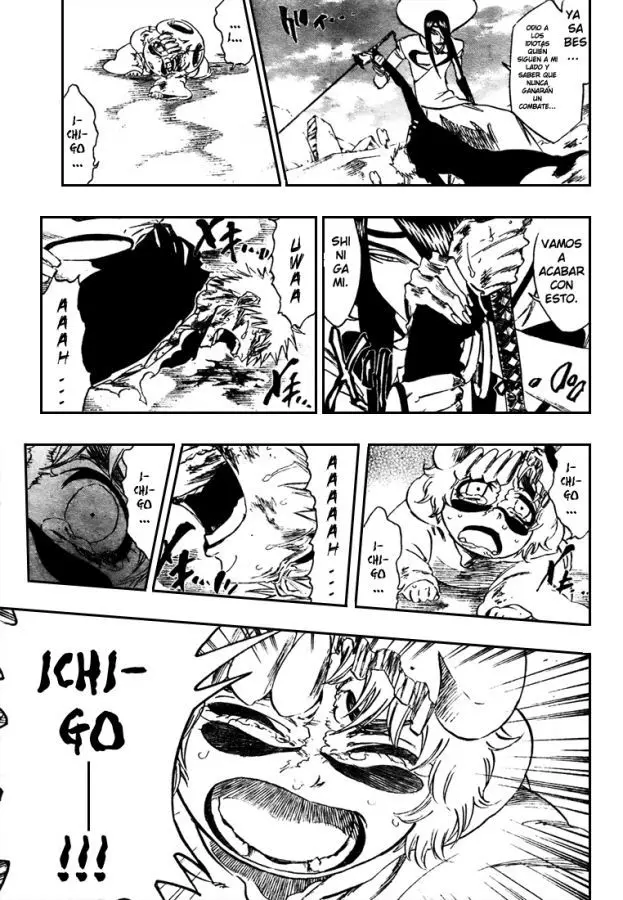 Bleach (2001) - Capítulo 290 - Página 17 - LectorTMOo