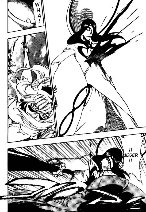 Bleach (2001) - Capítulo 291 - Página 14 - LectorTMOo