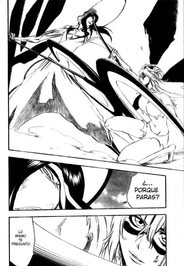 Bleach (2001) - Capítulo 293 - Página 19 - LectorTMOo