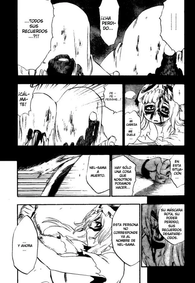 Bleach (2001) - Capítulo 295 - Página 5 - LectorTMOo
