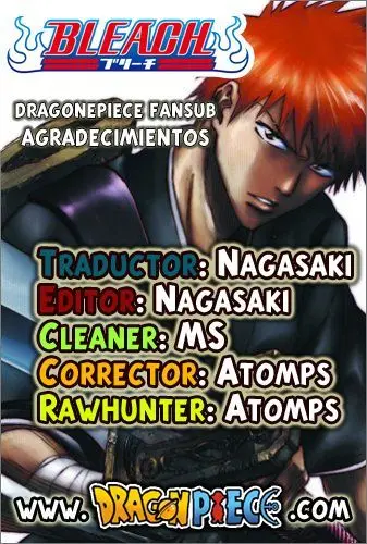 Bleach (2001) - Capítulo 295 - Página 17 - LectorTMOo