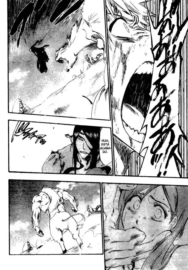 Bleach (2001) - Capítulo 297 - Página 15 - LectorTMOo