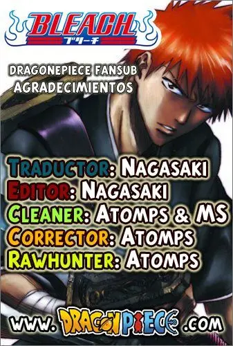 Bleach (2001) - Capítulo 297 - Página 18 - LectorTMOo