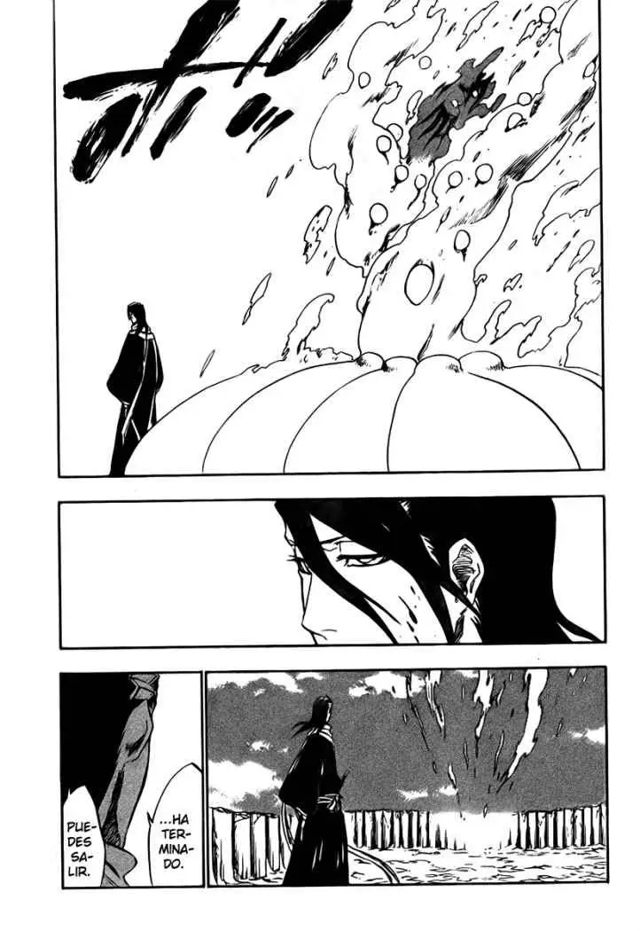 Bleach (2001) - Capítulo 302 - Página 17 - LectorTMOo