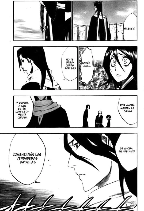 Bleach (2001) - Capítulo 304 - Página 5 - LectorTMOo