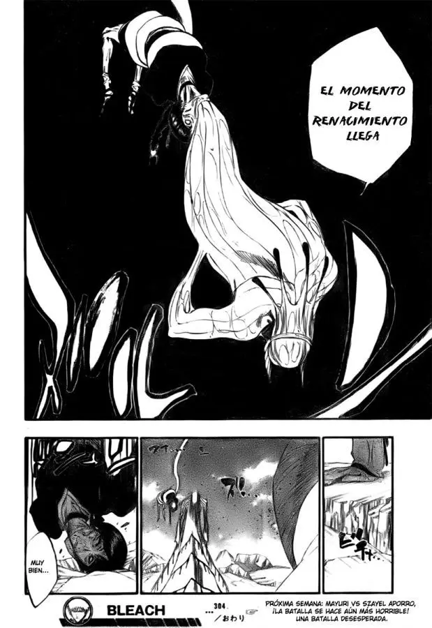 Bleach (2001) - Capítulo 304 - Página 16 - LectorTMOo