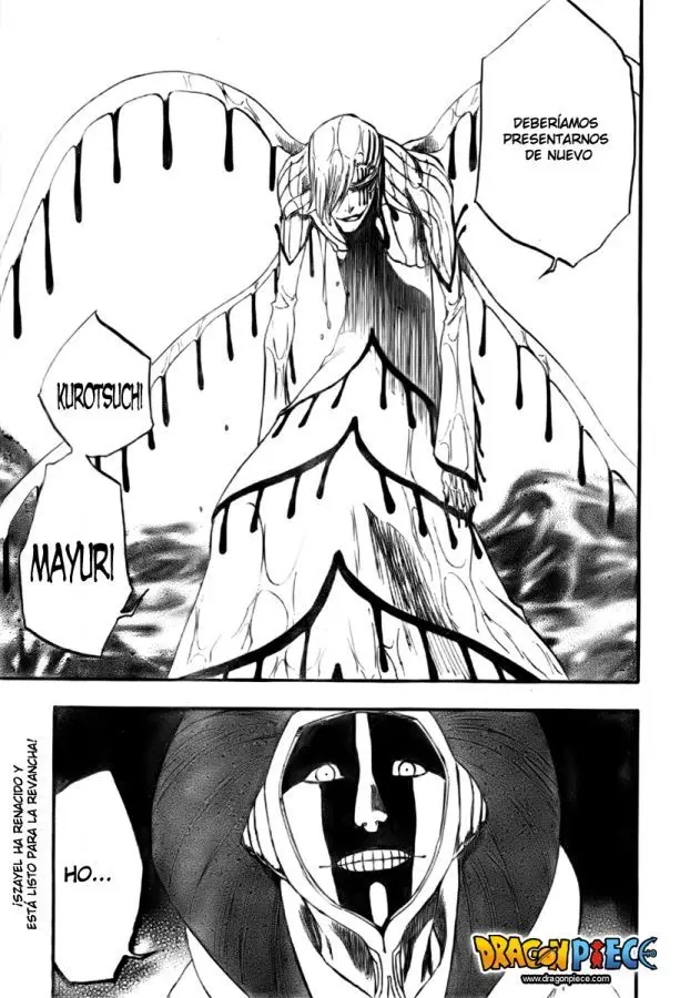 Bleach (2001) - Capítulo 304 - Página 17 - LectorTMOo