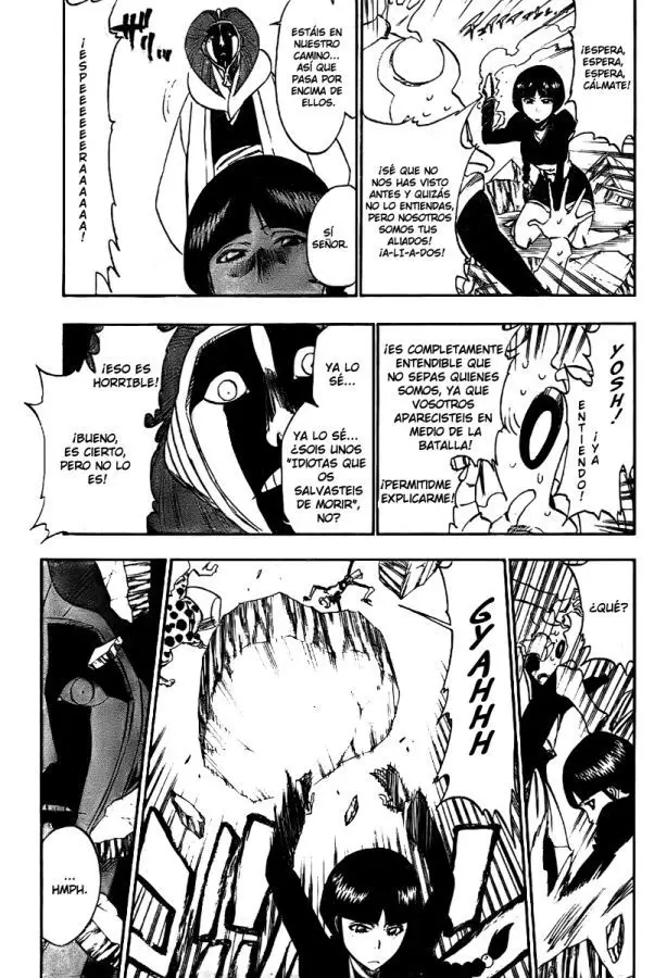 Bleach (2001) - Capítulo 306 - Página 13 - LectorTMOo