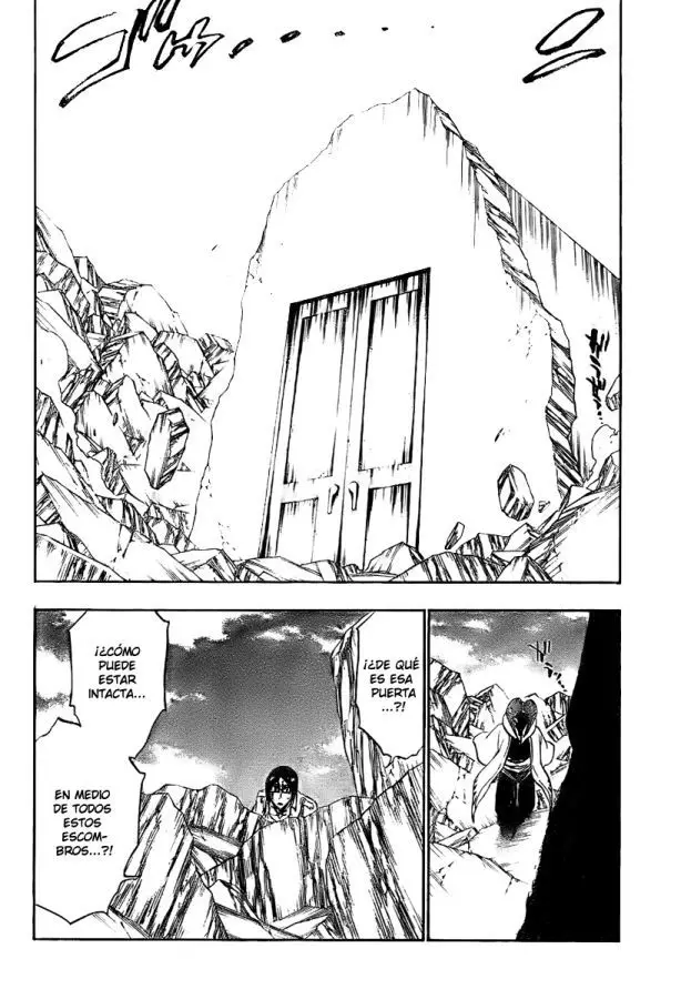 Bleach (2001) - Capítulo 306 - Página 14 - LectorTMOo