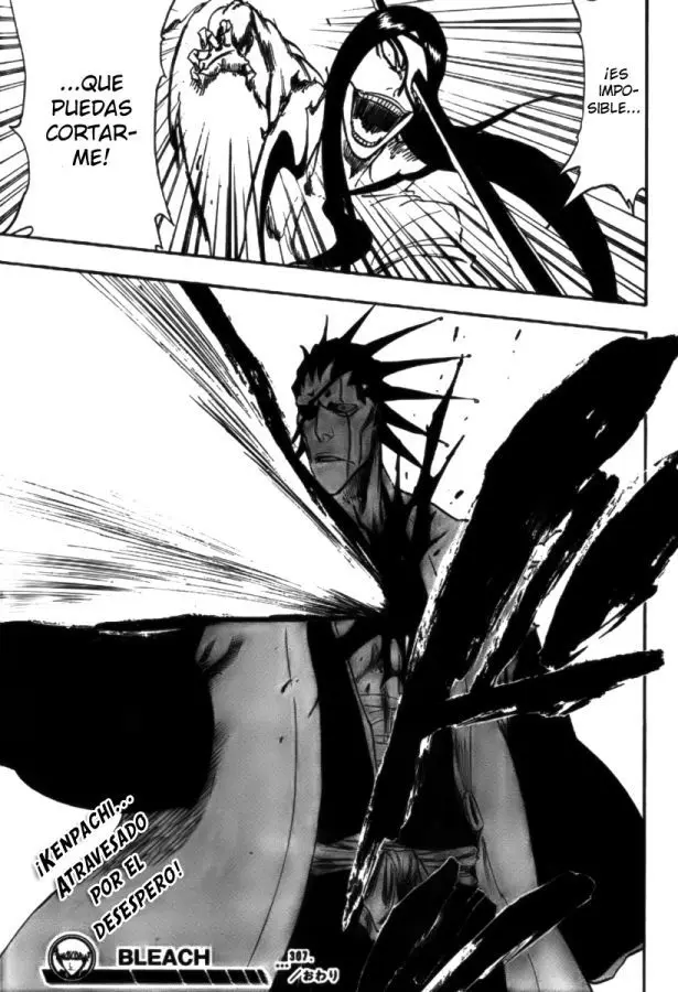 Bleach (2001) - Capítulo 307 - Página 19 - LectorTMOo