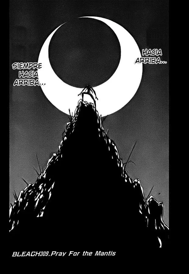 Bleach (2001) - Capítulo 309 - Página 8 - LectorTMOo