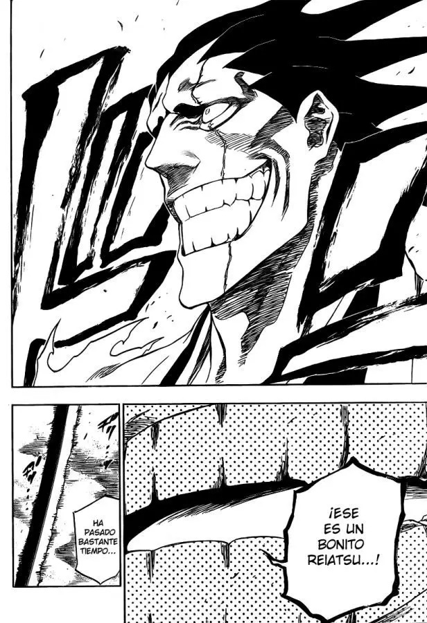 Bleach (2001) - Capítulo 309 - Página 13 - LectorTMOo