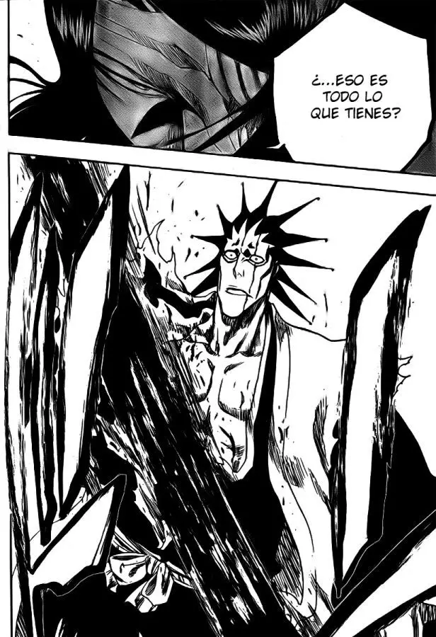 Bleach (2001) - Capítulo 309 - Página 17 - LectorTMOo