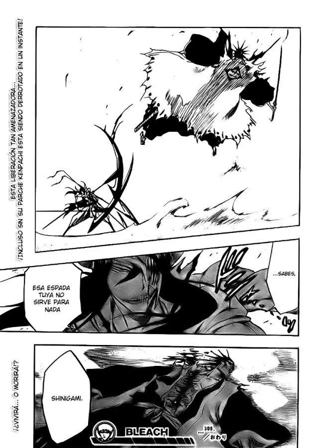 Bleach (2001) - Capítulo 309 - Página 18 - LectorTMOo