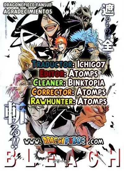 Bleach (2001) - Capítulo 309 - Página 19 - LectorTMOo