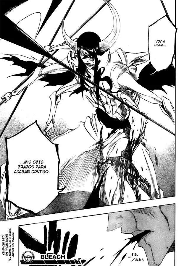 Bleach (2001) - Capítulo 310 - Página 19 - LectorTMOo