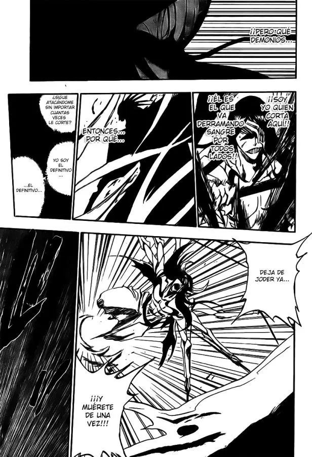 Bleach (2001) - Capítulo 311 - Página 13 - LectorTMOo