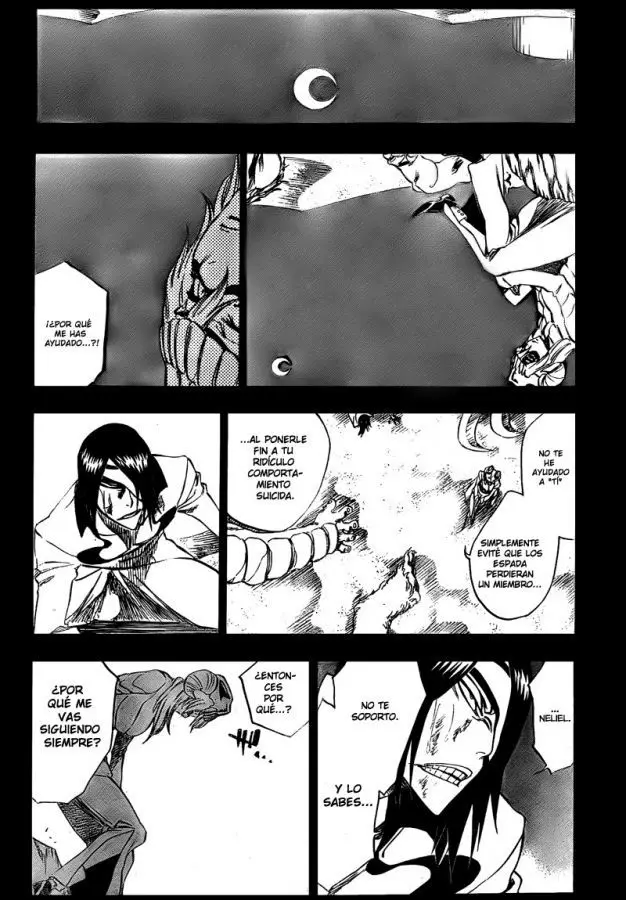 Bleach (2001) - Capítulo 312 - Página 14 - LectorTMOo
