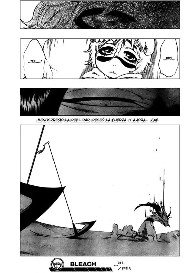 Bleach (2001) - Capítulo 312 - Página 19 - LectorTMOo