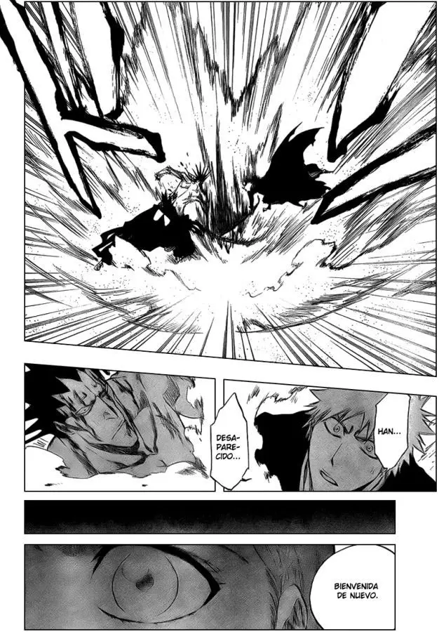 Bleach (2001) - Capítulo 313 - Página 16 - LectorTMOo