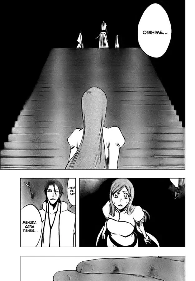 Bleach (2001) - Capítulo 313 - Página 17 - LectorTMOo