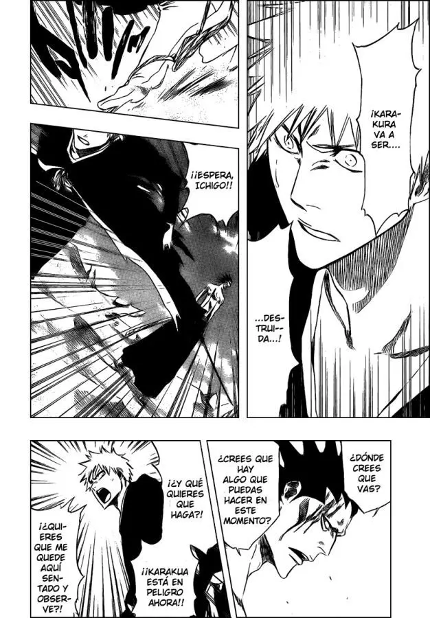 Bleach (2001) - Capítulo 314 - Página 14 - LectorTMOo