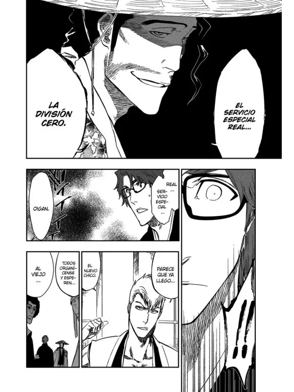 Bleach (2001) - Capítulo 315.4 - Página 17 - LectorTMOo