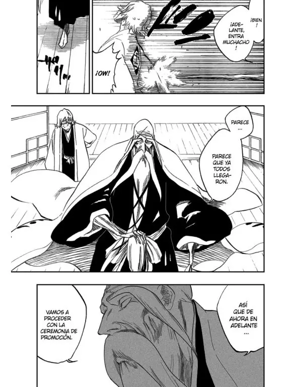 Bleach (2001) - Capítulo 315.4 - Página 25 - LectorTMOo