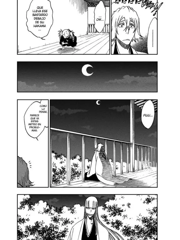 Bleach (2001) - Capítulo 315.4 - Página 33 - LectorTMOo