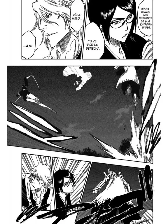 Bleach (2001) - Capítulo 315.7 - Página 30 - LectorTMOo