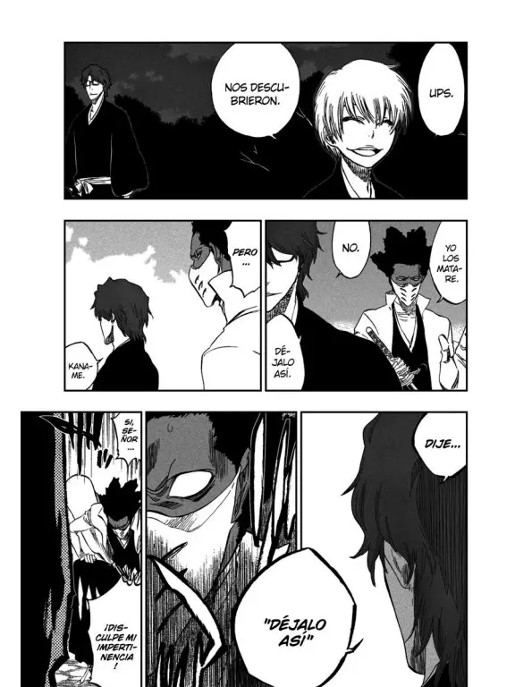 Bleach (2001) - Capítulo 315.7 - Página 73 - LectorTMOo