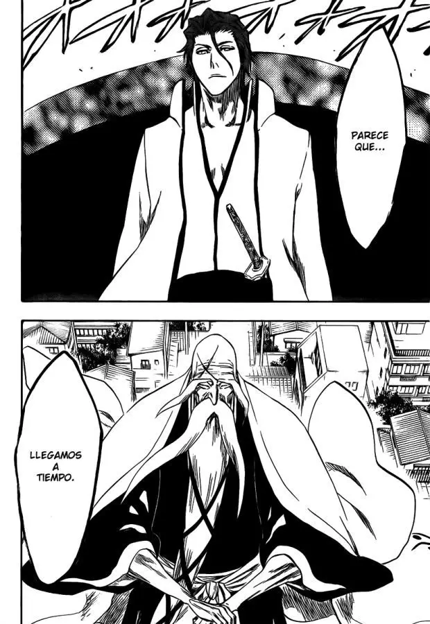 Bleach (2001) - Capítulo 315 - Página 7 - LectorTMOo