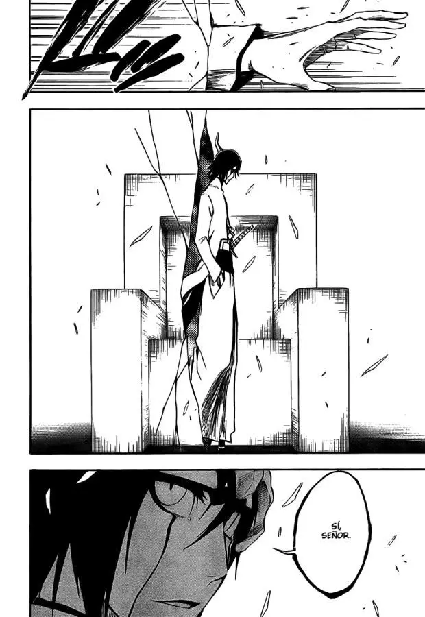 Bleach (2001) - Capítulo 315 - Página 13 - LectorTMOo