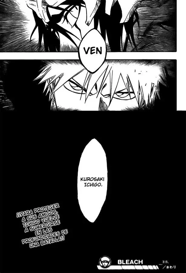 Bleach (2001) - Capítulo 315 - Página 16 - LectorTMOo