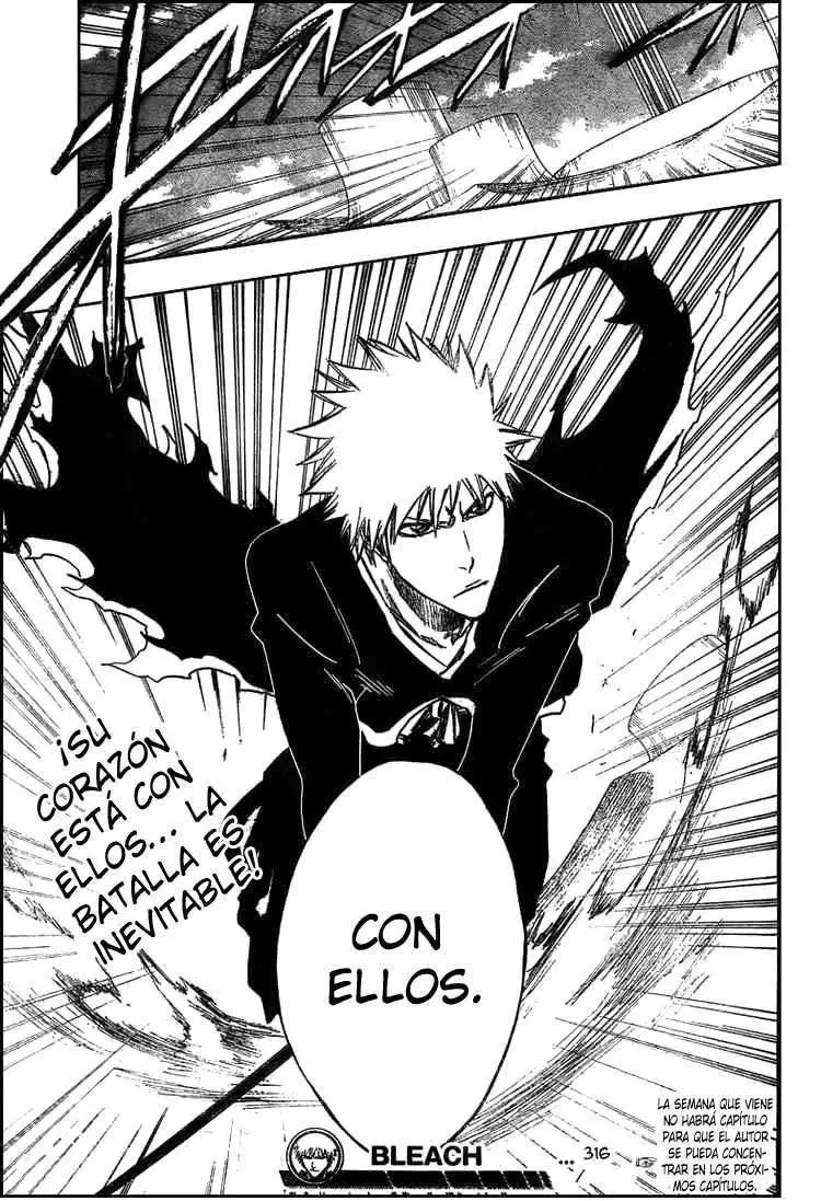Bleach (2001) - Capítulo 316 - Página 17 - LectorTMOo