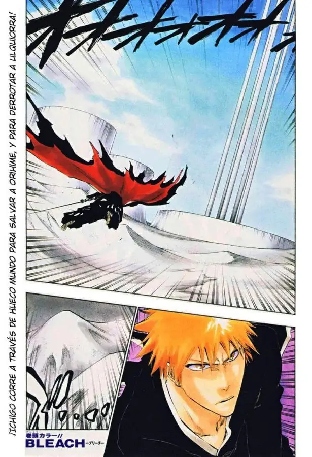 Bleach (2001) - Capítulo 317 - Página 1 - LectorTMOo