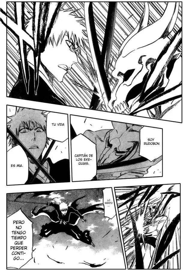 Bleach (2001) - Capítulo 317 - Página 10 - LectorTMOo
